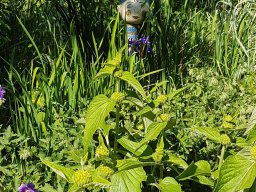 Rita offene Gartentor